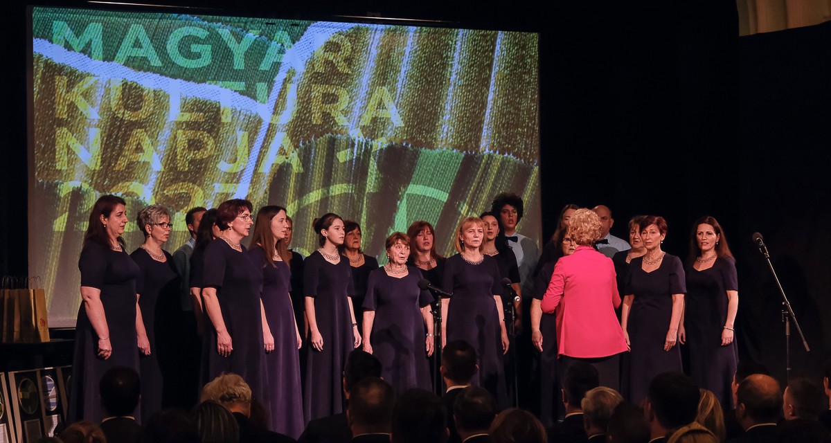 Zentán adták át a Magyar Életfa, a Plakett és az Aranyplakett díjakat (Fotók)