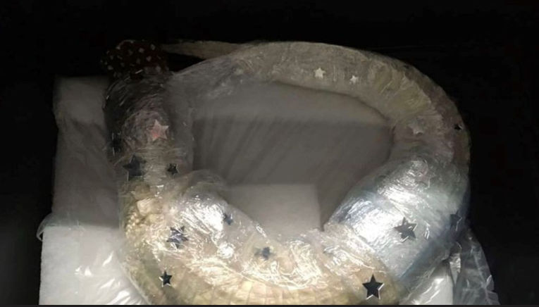 Repülőtéri poggyászból mentettek ki egy albínó aligátort