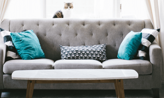 Amikor eljön végre a kanapévásárlás ideje