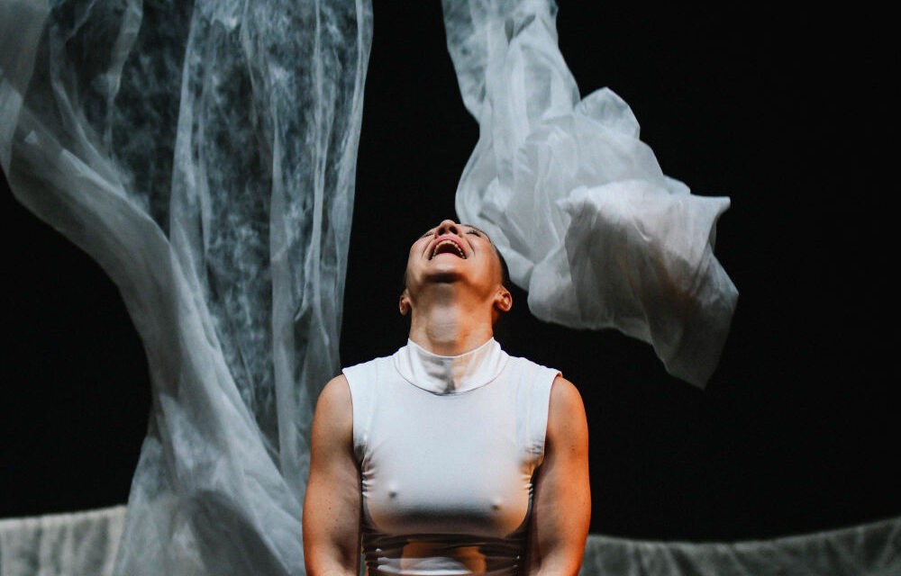 Egyre nagyobb teret kap a kortárs művészet Magyarkanizsán