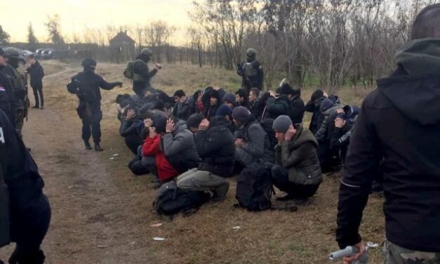 Felszámolták a kétes hírű 313-as tábort Szabadkán