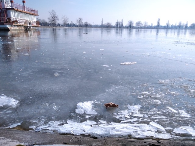 Befagyott a Palicsi-tó