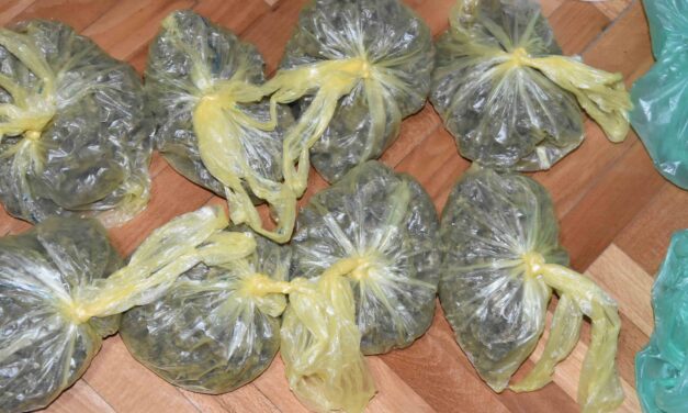 Fegyver- és drogfogás Szabadkán (Fotókkal)