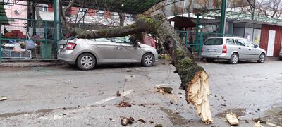 Huszonötezer háztartás maradt áram nélkül a szélsőséges időjárás miatt