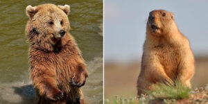 Idén egyetértés alakult ki, hosszú lesz a tél (Fotó: Pixabay-Shutterstock)