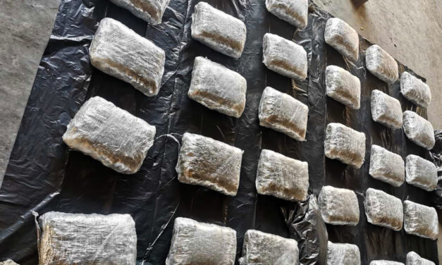 Harminc kilogramm kábítószert találtak egy Golfban a belgrádi rendőrök