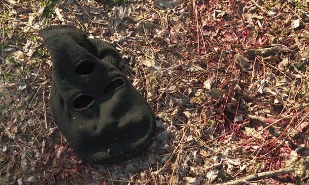 Vértócsa, maszk, töltényhüvelyek Palicson (Galéria)