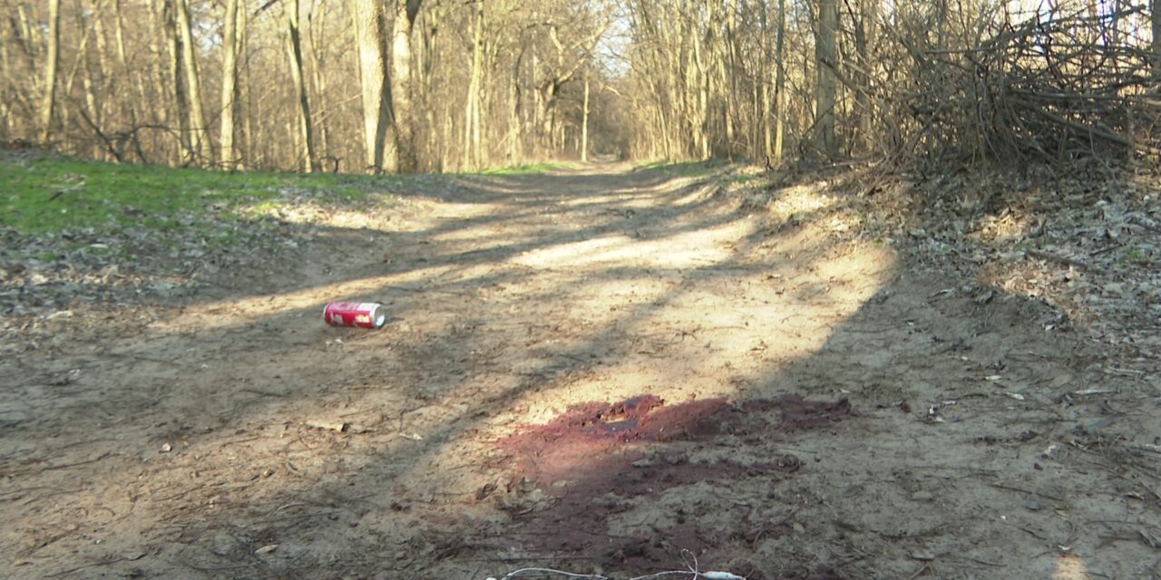 Súlyos állapotban van a Palicsnál meglőtt migráns