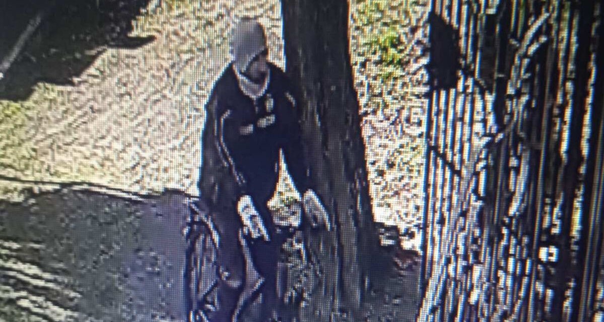 Amíg az édesapja sírját rendezte, ellopták a pénztárcáját