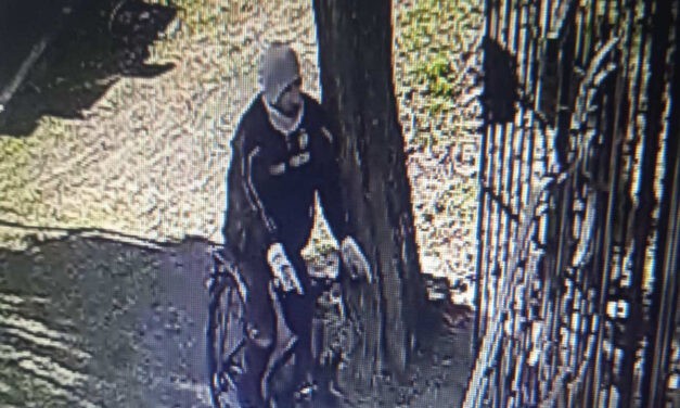 Amíg az édesapja sírját rendezte, ellopták a pénztárcáját