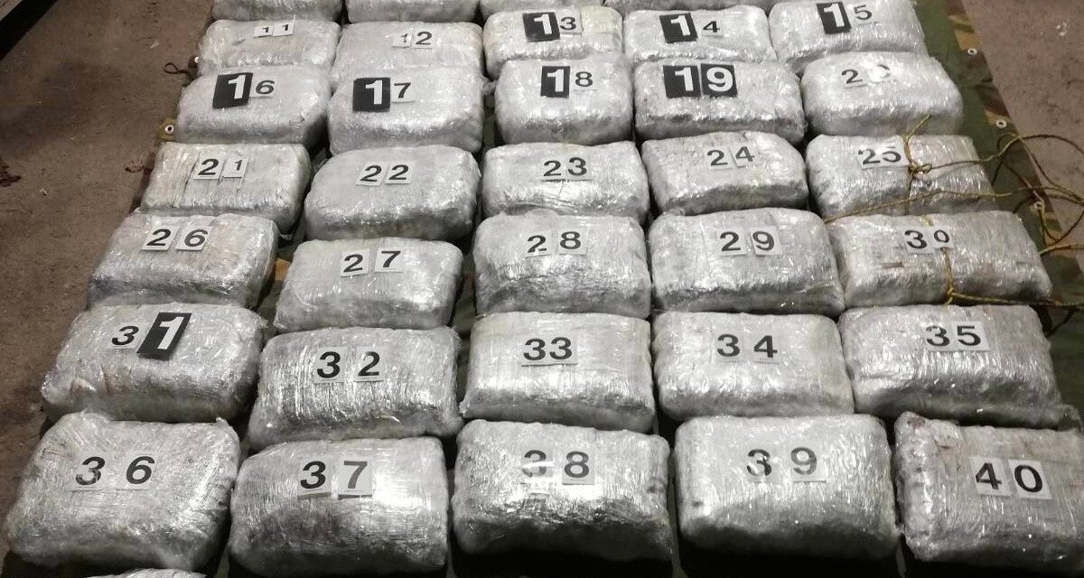 Közel fél mázsa drogot találtak a szerb vámosok (Fotó)