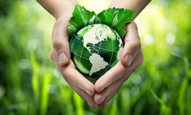 Szabadkán hamarosan két kukába kell majd gyűjteni a háztartási hulladékot