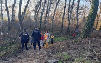 Tovább harcolnak a Sodros fáiért az aktivisták