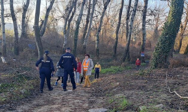 Tovább harcolnak a Sodros fáiért az aktivisták