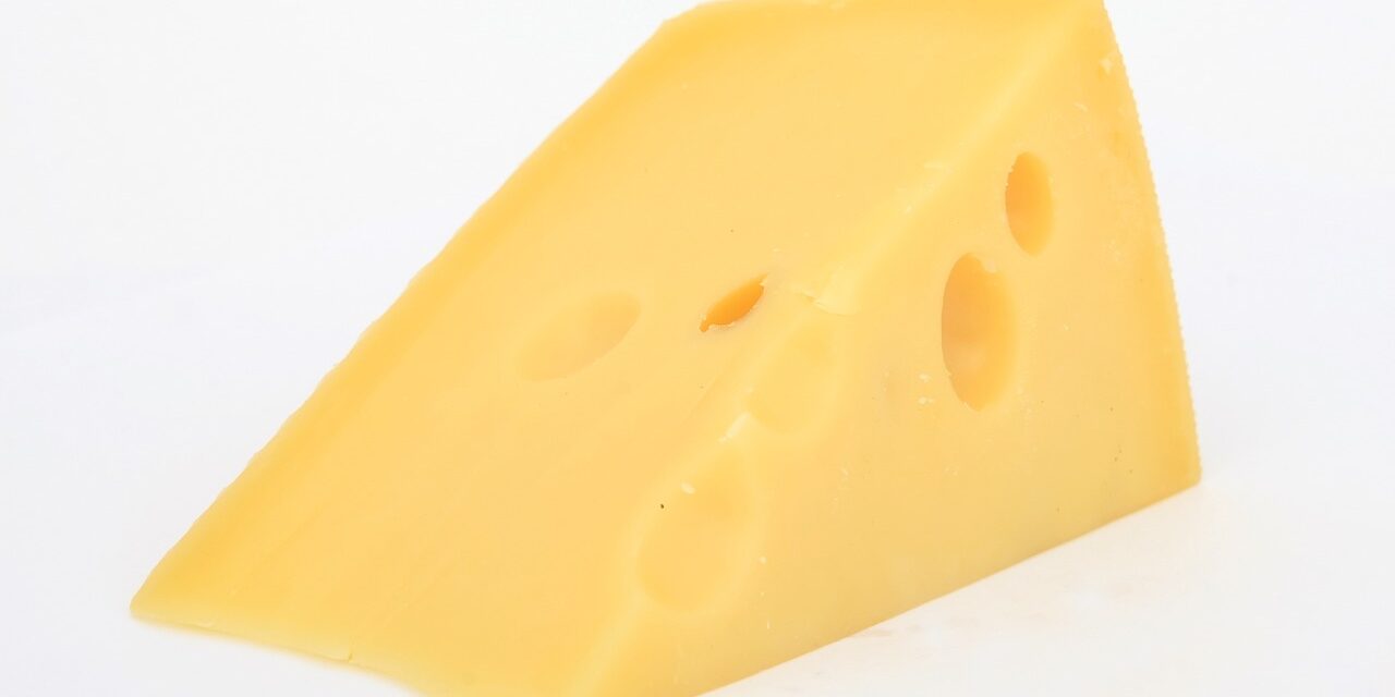 <span class="entry-title-primary">Heten haltak meg Svájcban fertőzött sajt miatt</span> <span class="entry-subtitle">A gyártót emberölés miatt ítélhetik el</span>