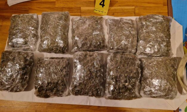 Tizenhat kilogramm marihuánát zsákmányolt a rendőrség
