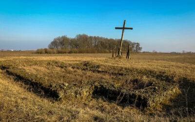 Zarándokhellyé válhatna a kishorgosi templomrom