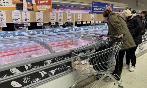 <span class="entry-title-primary">„Azt vettem, amire szükség volt: kenyeret, tejet” (videó)</span> <span class="entry-subtitle">Megnyílt a Lidl zentai üzlete</span>