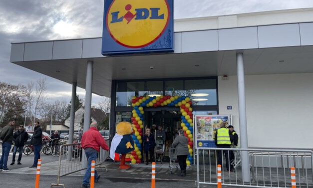 A német munkáltatóra a szerbiai munkás Németországban tehet panaszt