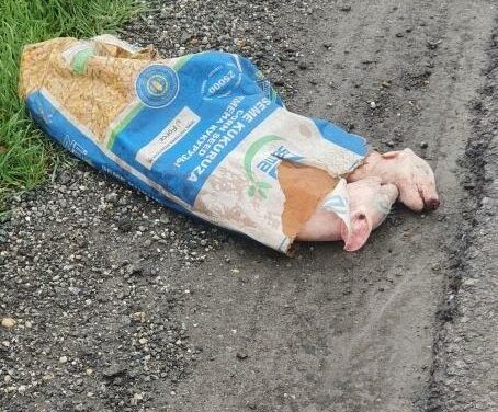 Malactetemeket dobtak ki a Kúlát Oroszkeresztúrral összekötő úton