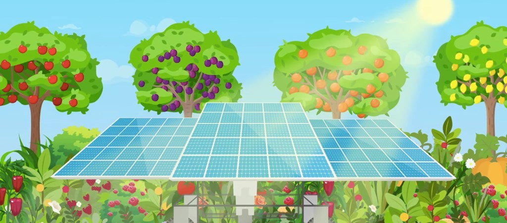 Robot gondozza a növényeket a napelemek alatt