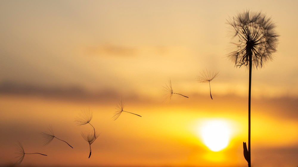 ENSZ: a tavalyi volt minden idők legforróbb nyara Európában
