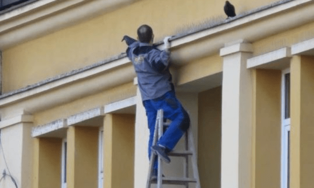 Újvidék, harmadik emelet