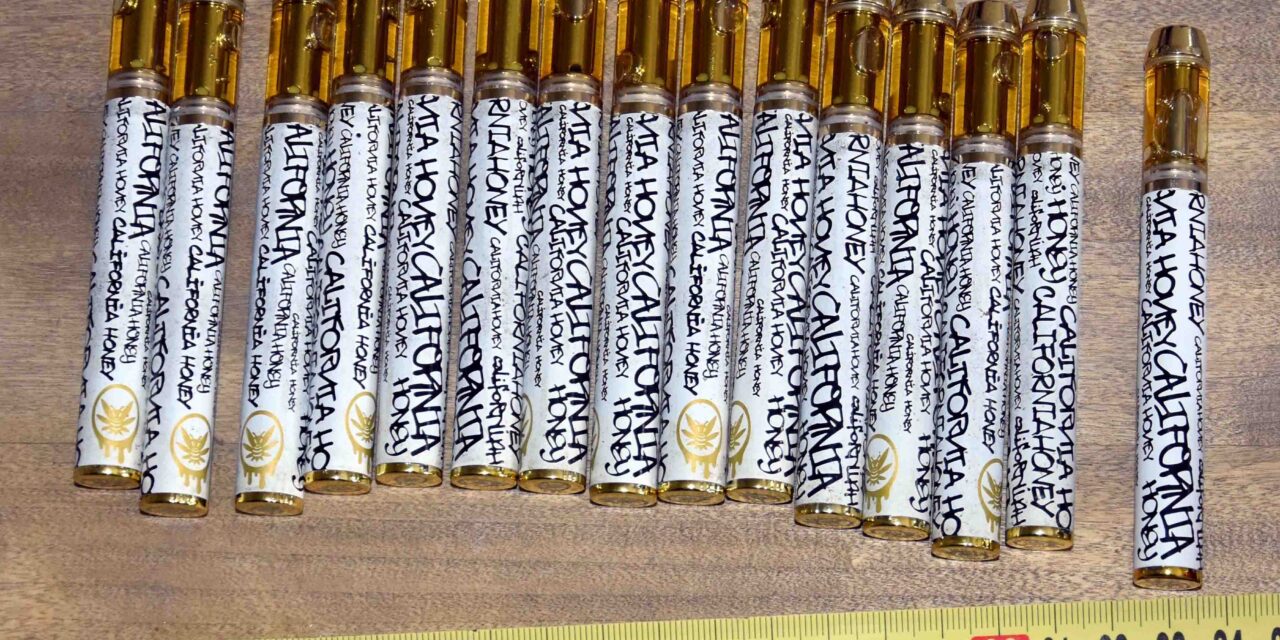 Hasisolajjal töltött elektromos cigarettákat és több kilogramm fehér port találtak a zombori dílereknél