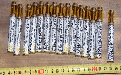 Hasisolajjal töltött elektromos cigarettákat és több kilogramm fehér port találtak a zombori dílereknél