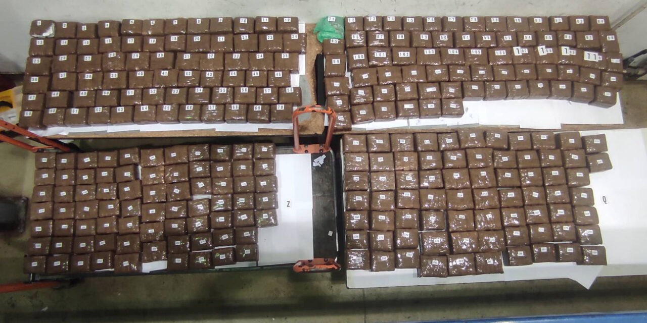 Több mint kétszázezer pszichoaktív tablettát akart átcsempészni Horgoson