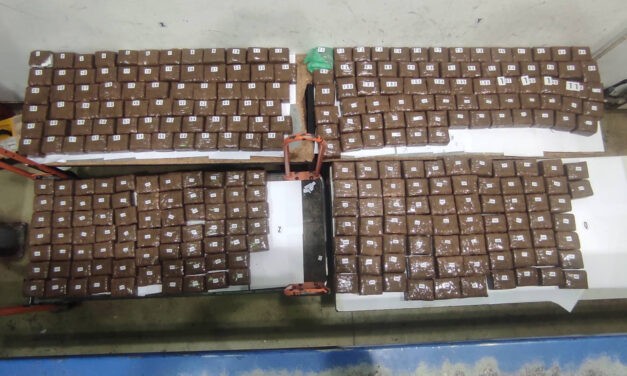 Több mint kétszázezer pszichoaktív tablettát akart átcsempészni Horgoson