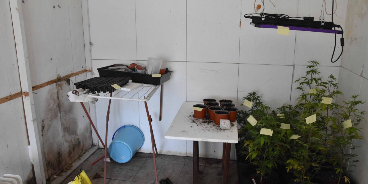 Újabb droglabort számoltak fel Szabadkán (Fotók)