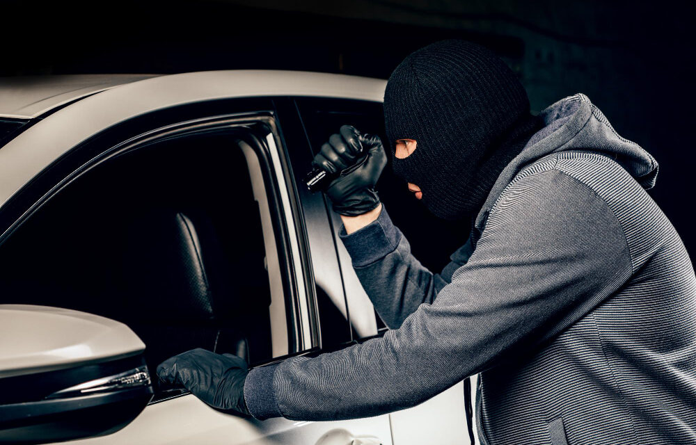 Szabadkai tolvajt gyanúsítanak a nagy értékű lopással