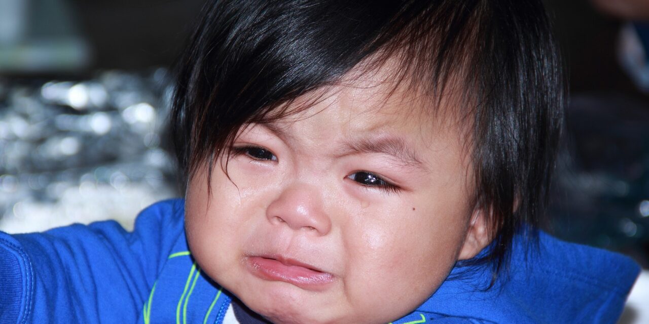 Szumófelszerelésbe öltöztetik és akarattal ríkatják meg a babákat ezen a Japán fesztiválon