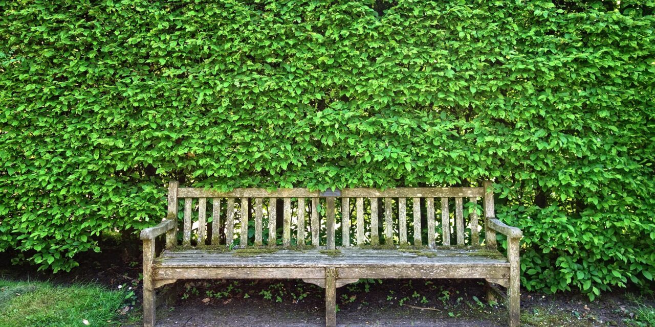 Hogyan óvd meg a fafelületeket?