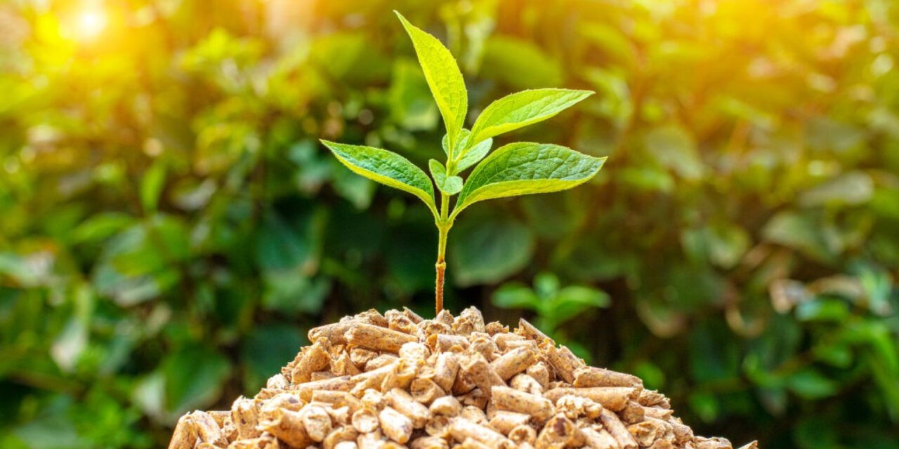 A megújuló energiaforrásokból nyert hőenergiát megduplázná a kormány