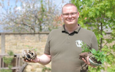 „Nem kérhetünk a növénytől többet, mint amennyit mi adtunk neki” Türelemre tanít bennünket a bonsai gondozás