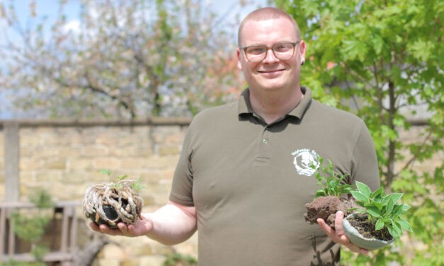 <span class="entry-title-primary">„Nem kérhetünk a növénytől többet, mint amennyit mi adtunk neki”</span> <span class="entry-subtitle">Türelemre tanít bennünket a bonsai gondozás</span>