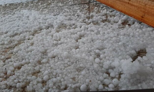 Borsószemnyi nagyságú jég esett Nagykikindán