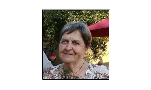 Zentai asszonyt keres a családja