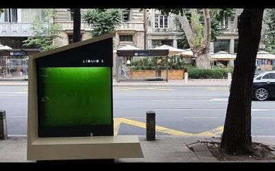 De mik ezek a nagy zöld kockák Belgrádban? Hatalmas innovációval jelentkezett be a főváros