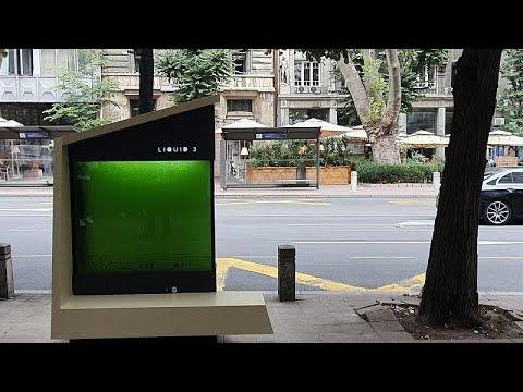 <span class="entry-title-primary">De mik ezek a nagy zöld kockák Belgrádban?</span> <span class="entry-subtitle">Hatalmas innovációval jelentkezett be a főváros</span>