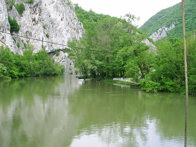 Brnabić: Kifogtuk az összes halat és rákot a Nyugat-Moravából az útépítés miatt