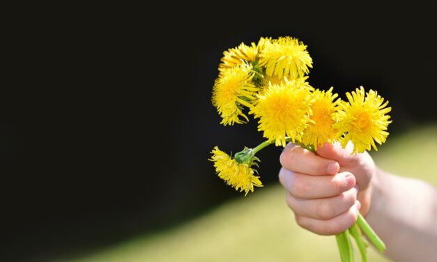 Változékony időjárás mellett lassan, de biztosan visszatér a tavasz