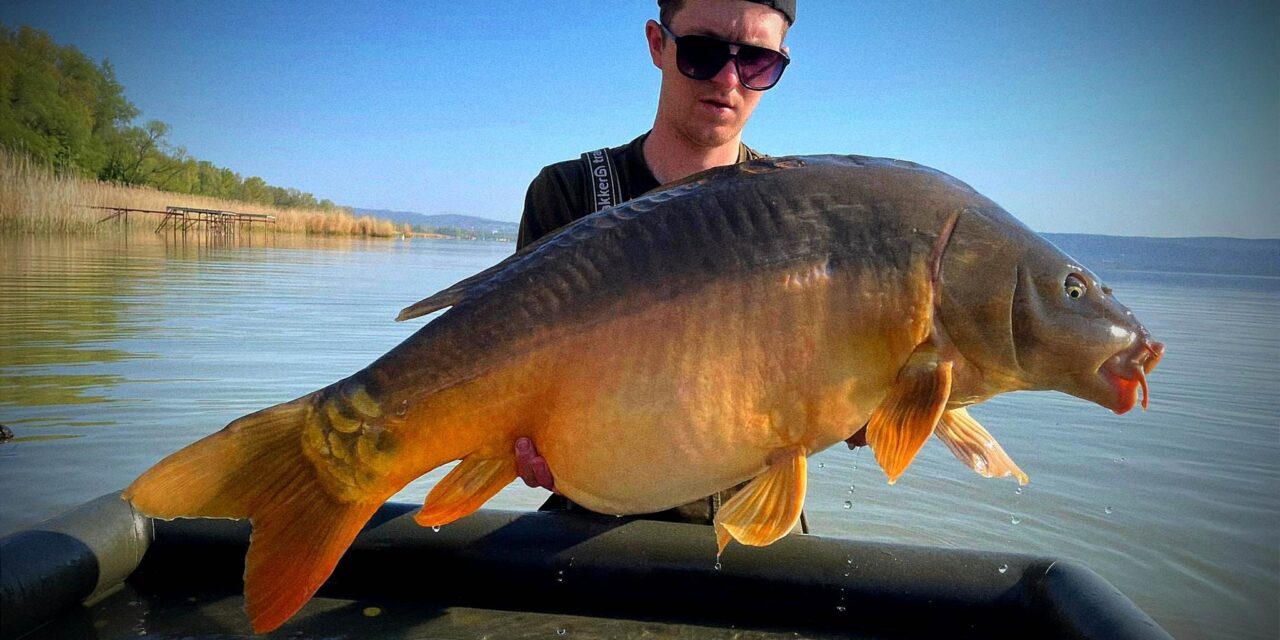A bajsai Rubint Roland horgára egy közel 20 kilós tükörponty akadt a Balatonon