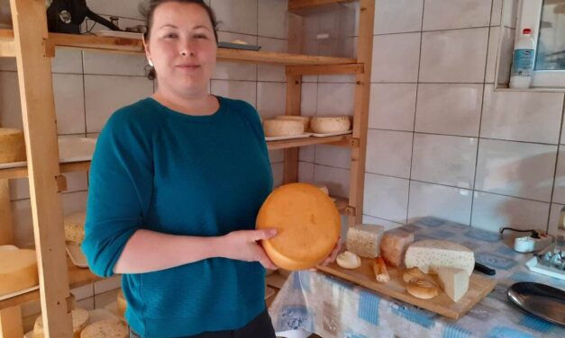 <span class="entry-title-primary">Sajtot ajándékba? Miért ne!</span> <span class="entry-subtitle">Egyre többen választják a kézműves termékeket</span>