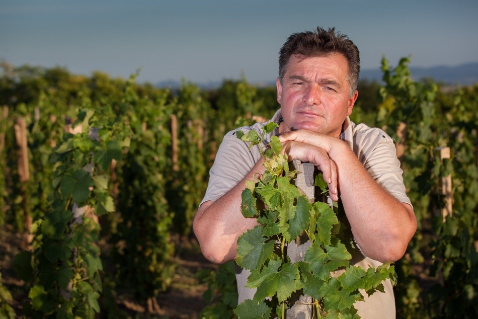 <span class="entry-title-primary">„Csak akkor tudok jobb bort készíteni, ha én jobbá válok”</span> <span class="entry-subtitle">Sütő Zsolt kürti natúr borász: Ahogy élünk, úgy dolgozunk, s az meg is jelenik a borban</span>