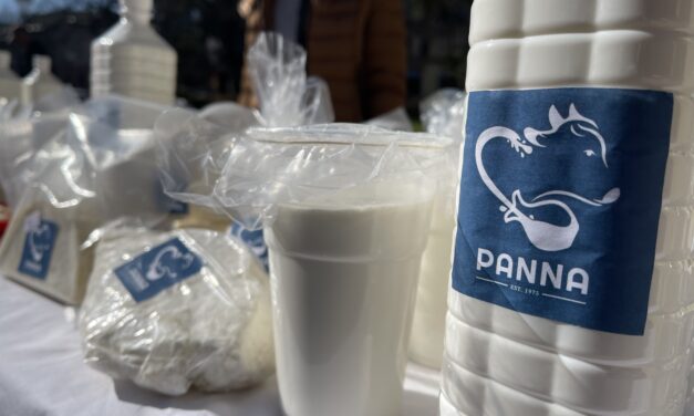 <span class="entry-title-primary">A katedra helyett a tejtermékeket választotta</span> <span class="entry-subtitle">Egy kis csantavéri manufaktúra sikere – Panna, a házi ízek királynője</span>