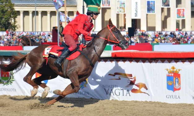 Jövő szombaton Vajdasági Vágta