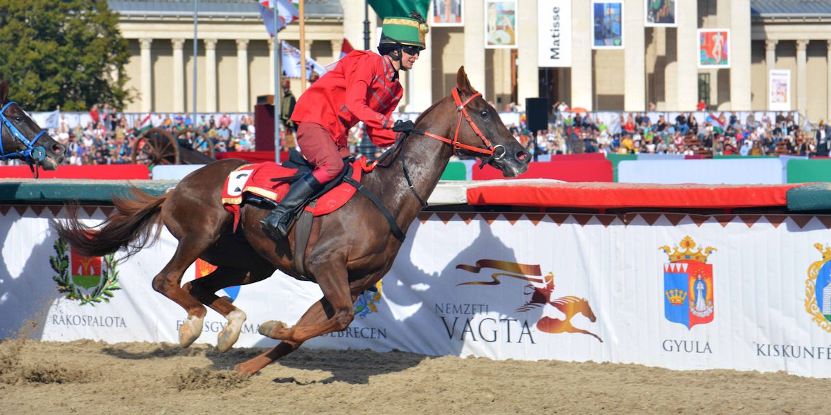 Jövő szombaton Vajdasági Vágta